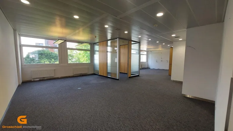 Geräumiges, leeres Büro mit Teppichboden, großen Fenstern und modernen Glasabtrennungen für Arbeitsbereiche.