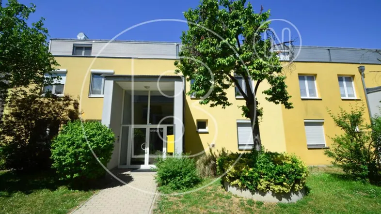 Gelbes Mehrfamilienhaus mit modernem Eingangsbereich und gepflegter Grünanlage.