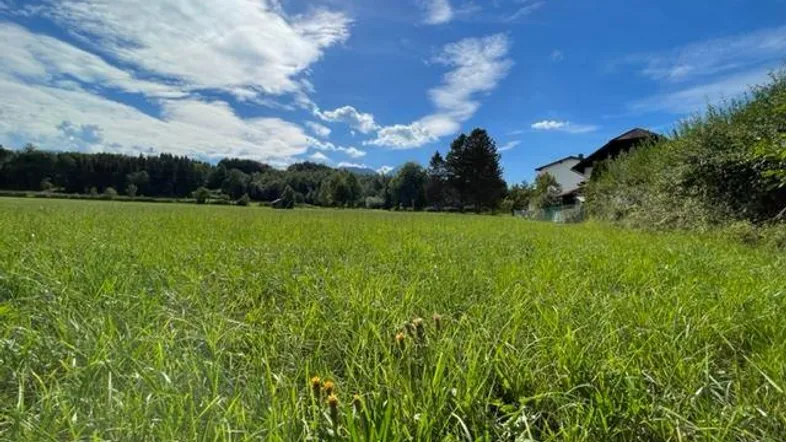 Weitläufiges grünes Feld unter blauem Himmel mit einem Haus in der Ferne.