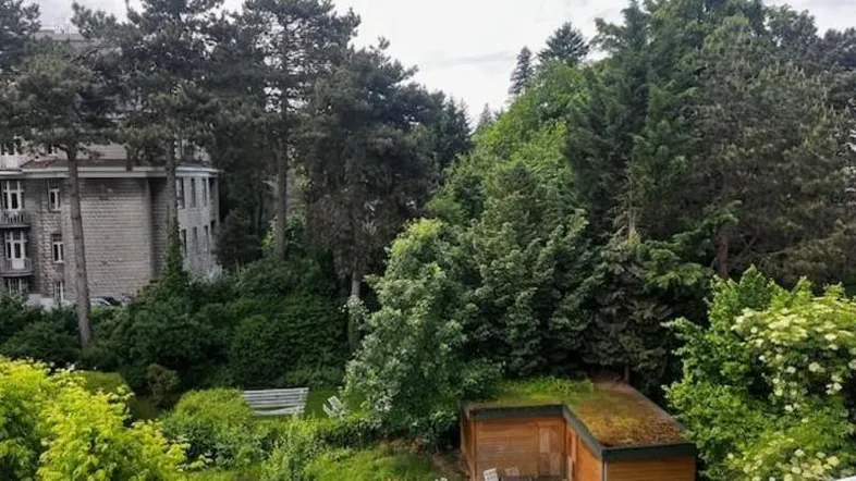Üppiger grüner Garten mit altem Baumbestand und einem kleinen Holzschuppen mit begrüntem Dach.