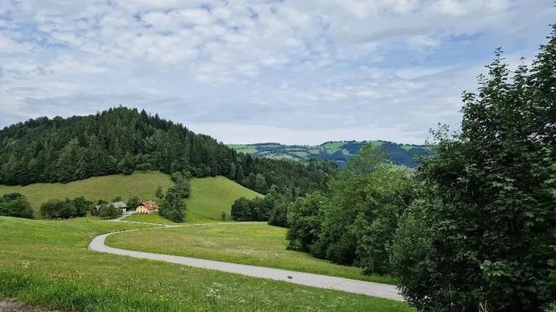 Idyllische Landschaft mit grünen Hügeln, Wäldern und einem gewundenen Weg unter bewölktem Himmel.