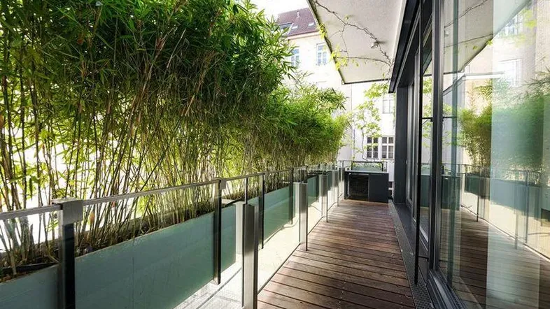 Langer Balkon mit Holzboden, Bambuspflanzen und großen Glasfenstern, der eine ruhige Atmosphäre schafft.