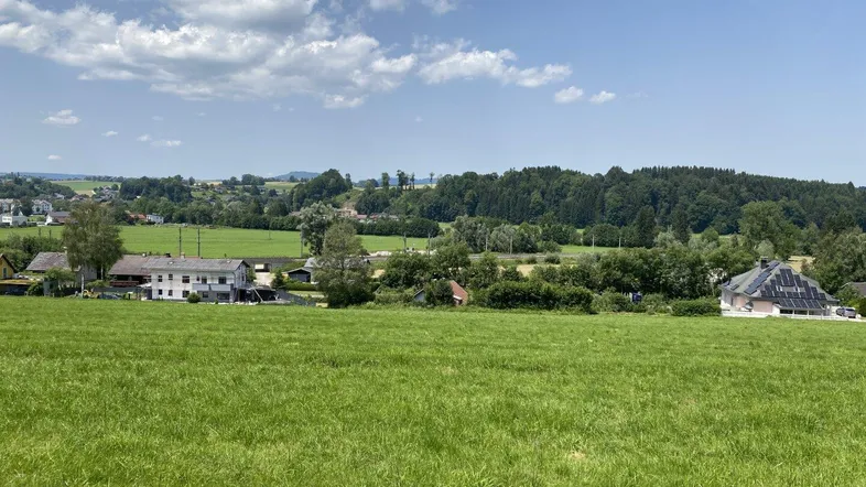 Weitläufige grüne Landschaft mit vereinzelten Häusern und bewaldeten Hügeln unter blauem Himmel.