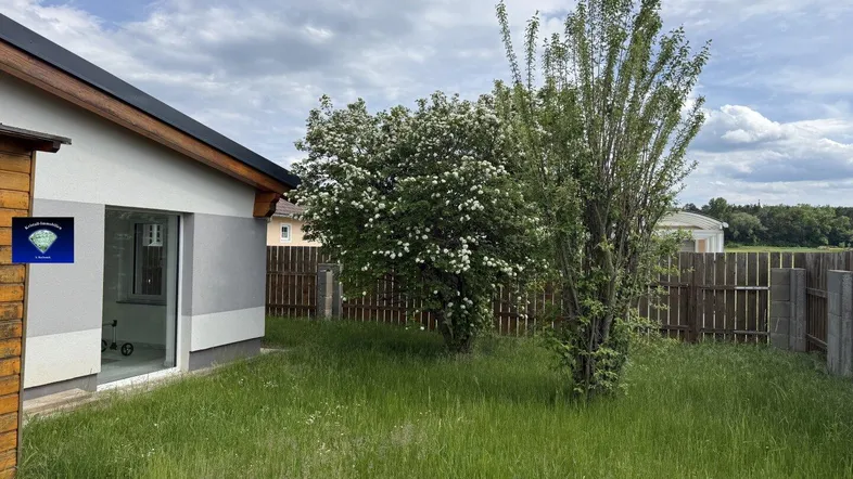 Grüner Gartenbereich neben dem Haus mit blühenden Bäumen unter bewölktem Himmel.