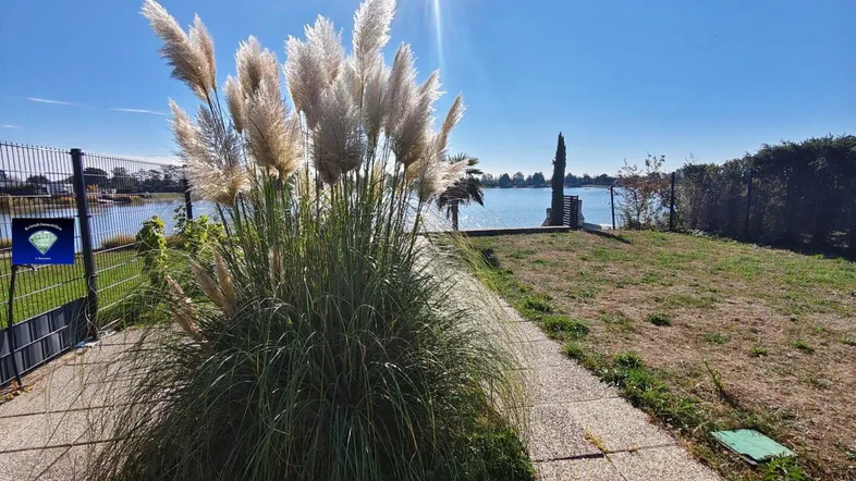 Sonniger Gartenbereich mit Pampasgras, einem Weg und Blick auf den See.
