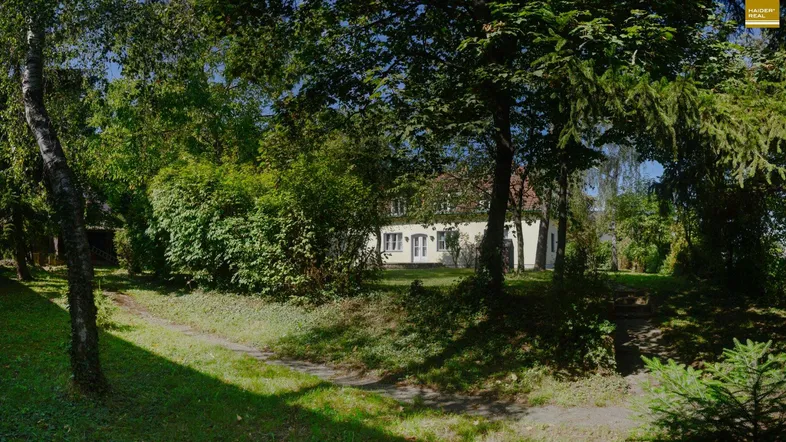 Hausansicht durch Bäume und Sträucher, umgeben von viel Grün und Natur.