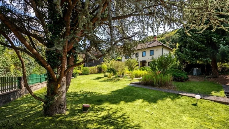 Großer, gepflegter Garten mit altem Baumbestand und Blick auf das Haus.