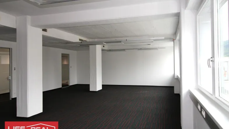 Geräumiger Büroraum mit dunklem Teppichboden, weißen Wänden und großen Fenstern für viel Tageslicht.