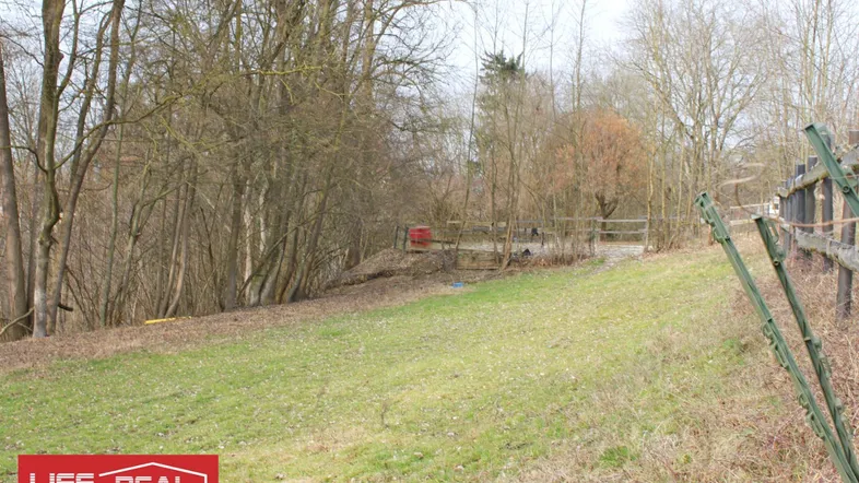 Grüne Wiese mit Bäumen im Hintergrund und leichtem Hang, ideal für naturnahes Wohnen.