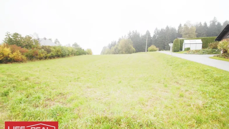 Weitläufiges grünes Feld mit Bäumen im Hintergrund und einer Straße am Rand, ideal für ein Bauvorhaben.