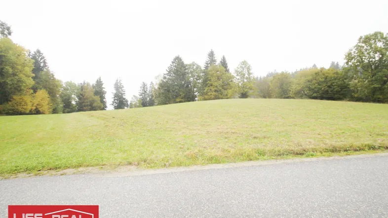 Weitläufige grüne Wiese mit Baumbestand am Horizont, ideal für Naturliebhaber und Ruhesuchende.