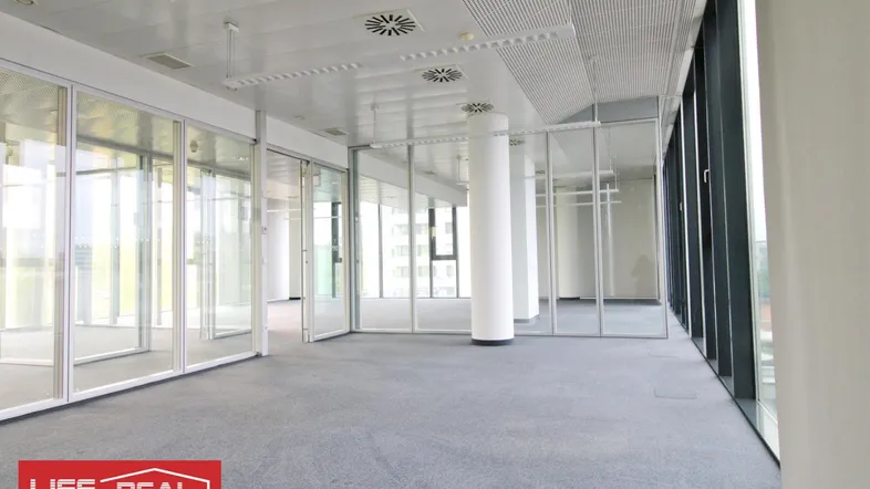 Geräumiges, modernes Büro mit Teppichboden, Glaswänden und großen Fenstern, ideal für flexible Arbeitsplatzgestaltung.