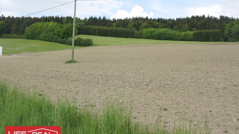 Weites Feld mit bewaldetem Hintergrund unter bewölktem Himmel, ideal für ländliche Entwicklung.
