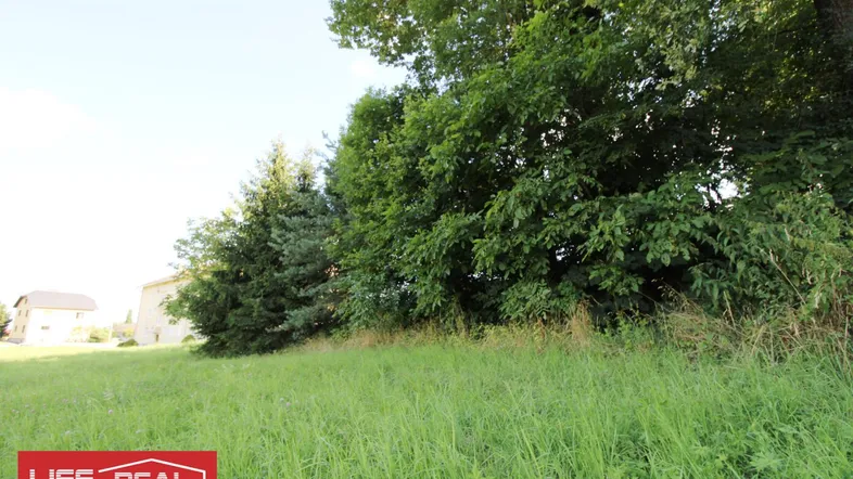 Grüne Wiese mit Bäumen und Blick auf entfernte Häuser in ländlicher Umgebung.