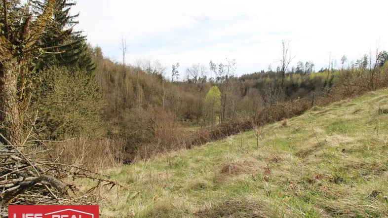 Weitläufiges, hügeliges Gelände mit Grasflächen und Baumbestand in einer natürlichen Umgebung.