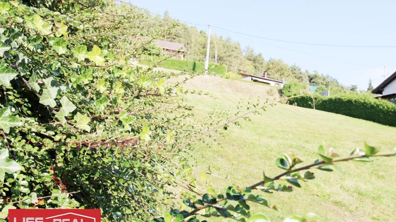 Grüne Hanglage mit üppiger Vegetation im Vordergrund und Blick auf die umliegende Landschaft.
