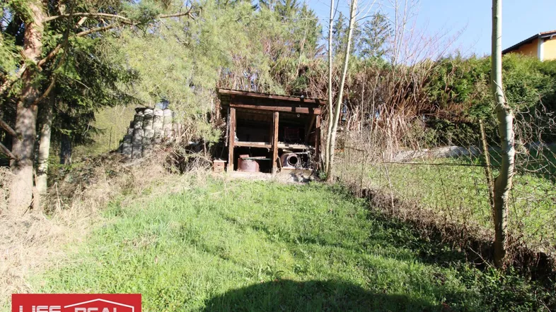 Grünes Grundstück mit Bäumen und einem kleinen Holzunterstand in ländlicher Umgebung.