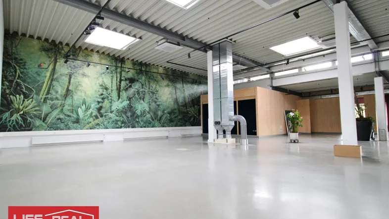 Großer, offener Gewerberaum mit hoher Decke, Betonboden und einer auffälligen Dschungel-Wandtapete.