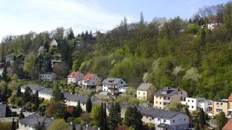 Panoramablick auf eine Wohnsiedlung am bewaldeten Hang mit vielen Bäumen und Häusern.