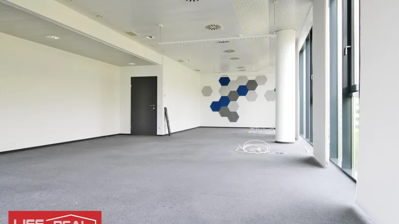 Geräumiges, leeres Büro mit Teppichboden, großen Fenstern und moderner Deckenbeleuchtung.