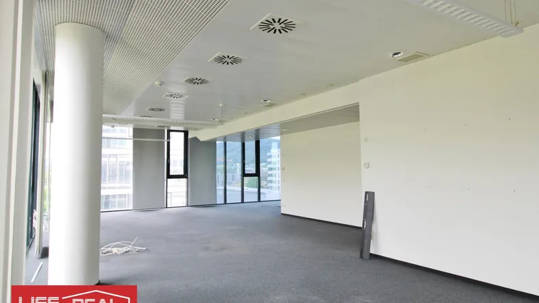 Geräumiges, leeres Büro mit Teppichboden, großen Fenstern und moderner Deckenbeleuchtung.