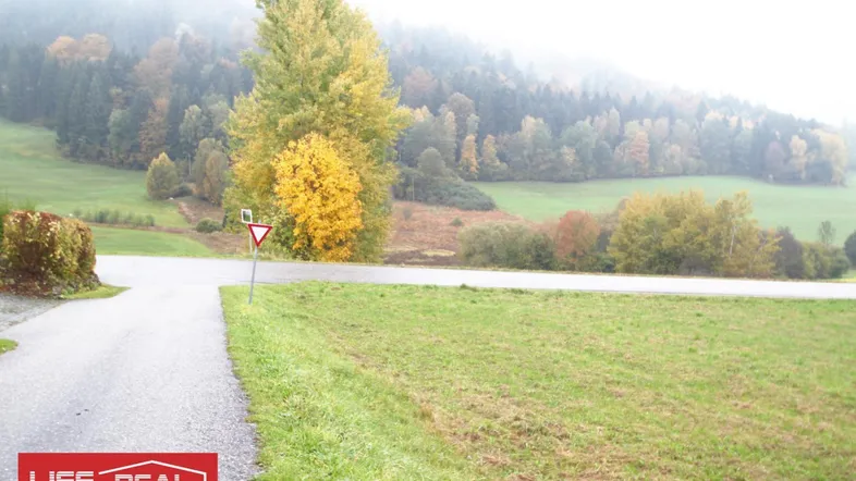 Ländliche Umgebung mit einer Straße, grünen Feldern und einem Wald im Hintergrund, ideal für Naturliebhaber.