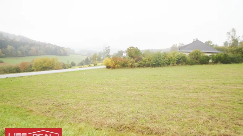 Weitläufige grüne Wiese mit sanften Hügeln und einem Haus in der Ferne, umgeben von Bäumen.