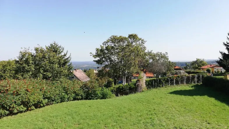 Grüne Wiese mit Bäumen und Häusern im Hintergrund unter klarem blauem Himmel und Fernblick.