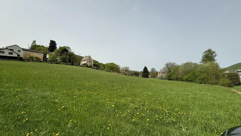 Weitläufige grüne Wiese mit vereinzelten Häusern und Bäumen im Hintergrund unter klarem Himmel.