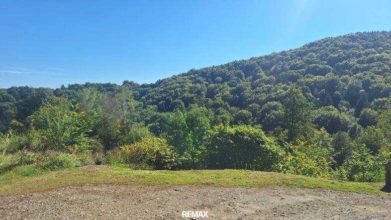 Hügelige Landschaft mit dichtem Wald unter klarem blauem Himmel und sonnigem Wetter.