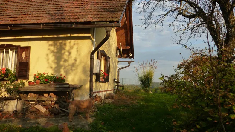 Rustikales Haus mit traditionellem Ziegeldach und einem Hund im sonnigen Gartenbereich.