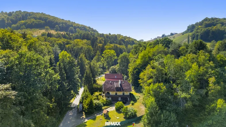 Luftaufnahme des Anwesens, eingebettet in eine grüne Hügellandschaft mit Wald und Weinbergen.