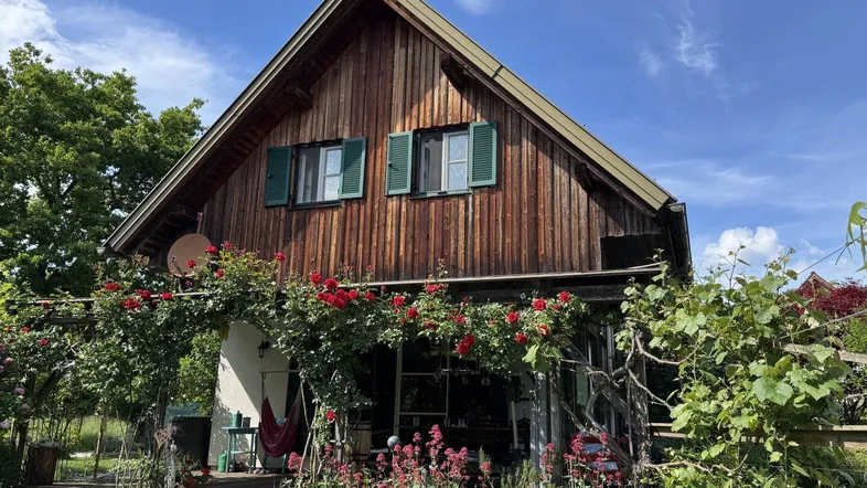 Charmantes Holzhaus mit blühenden roten Rosen und einer überdachten Terrasse im idyllischen Garten.