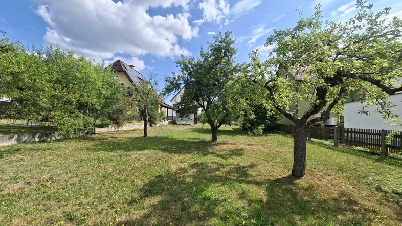 Bestand Obstbäume