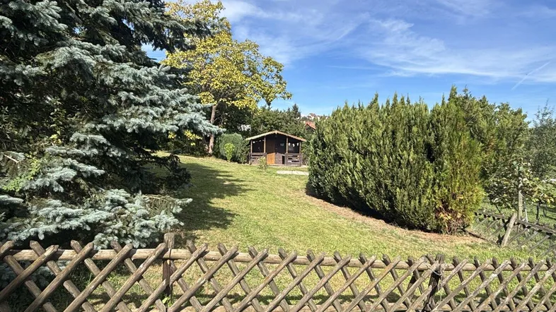 Großer Gartenbereich mit Rasenfläche, Nadelbäumen und einem kleinen Holzschuppen unter blauem Himmel.