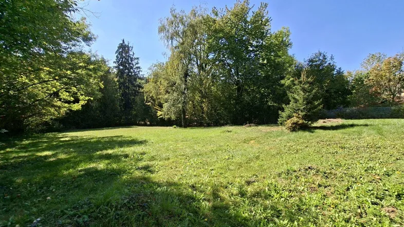 Große Rasenfläche umgeben von Bäumen unter blauem Himmel, ideal für Erholung im Grünen.