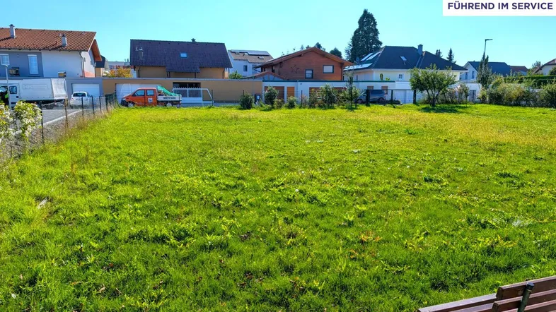 Blick zur Straße