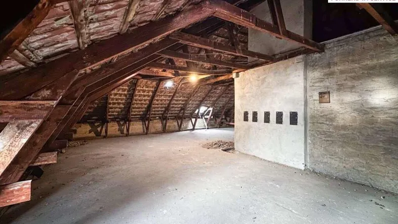 Geräumiger Dachboden mit sichtbaren Holzbalken und Betonboden, ideal für zukünftigen Ausbau.