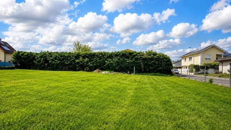 Große Rasenfläche mit hoher Hecke und umliegenden Wohnhäusern unter blauem Himmel.