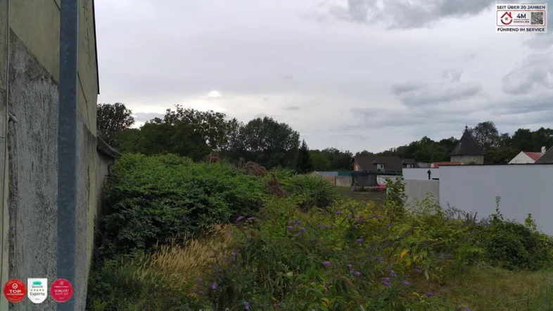 Blick auf eine grüne, bewachsene Fläche mit Bäumen und Häusern im Hintergrund unter bewölktem Himmel.