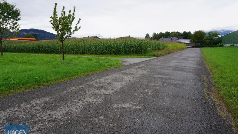 Schotterweg führt durch grüne Felder mit Maisfeld und Bäumen unter bewölktem Himmel.