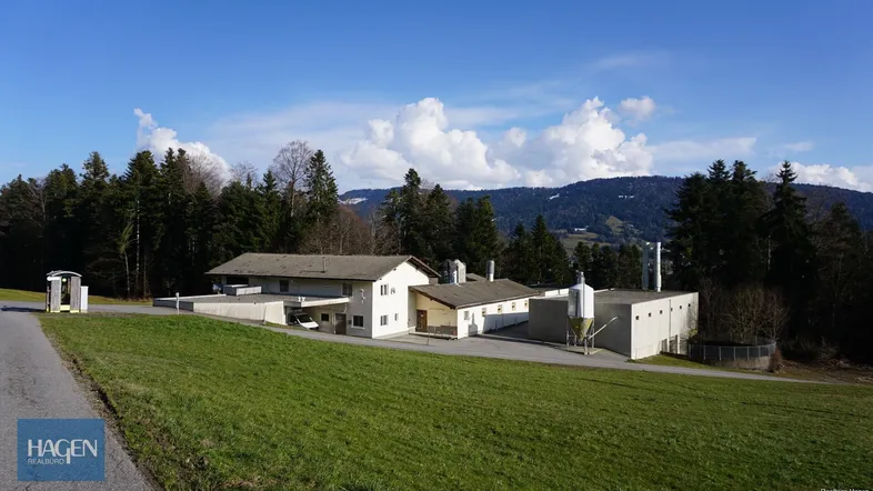 Weitläufiges Anwesen mit mehreren Gebäuden, umgeben von grünen Wiesen und Wäldern, mit Bergblick.