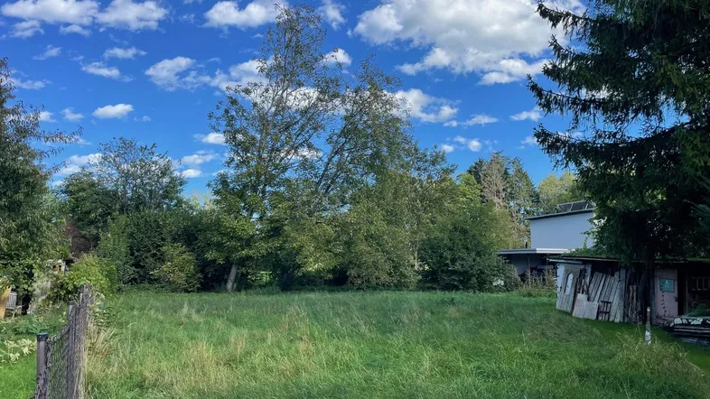 Grüne Wiese mit Bäumen unter blauem Himmel, ideal für ein neues Zuhause.