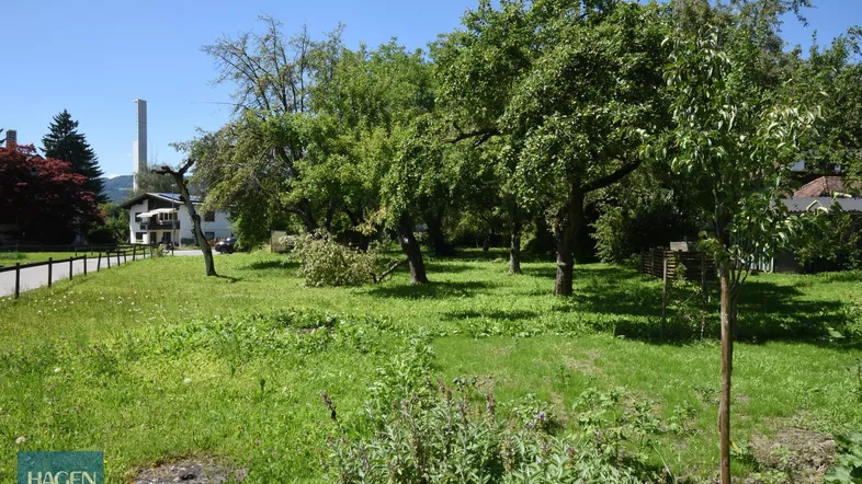 Grüner Gartenbereich mit Obstbäumen und Rasenfläche, im Hintergrund ein Gebäude und ein hoher Schornstein.