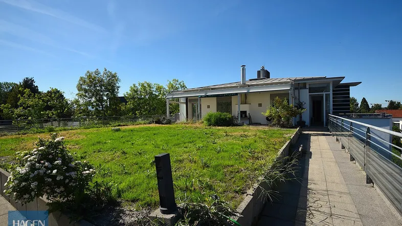 Grüne Dachterrasse mit begehbarem Bereich und Blick auf das moderne Gebäude unter blauem Himmel.