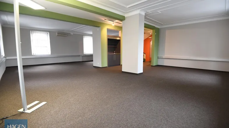 Geräumiger, offener Bürobereich mit Teppichboden, hohen Decken und großen Fenstern, ideal für flexible Arbeitsplatzgestaltung.