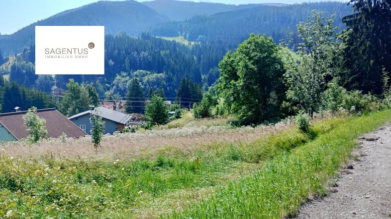 Grüne Wiese mit Häusern im Hintergrund und bewaldeten Bergen unter blauem Himmel.