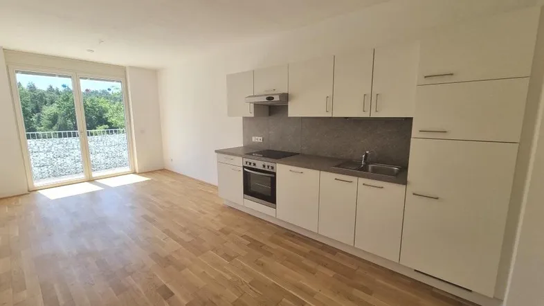 Heller Wohn- und Kochbereich mit moderner Einbauküche, Parkettboden und Zugang zum Balkon.