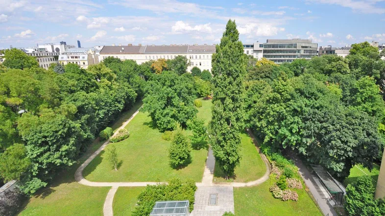 Weitläufige Grünanlage mit Bäumen und Wegen, umgeben von städtischer Bebauung unter blauem Himmel.
