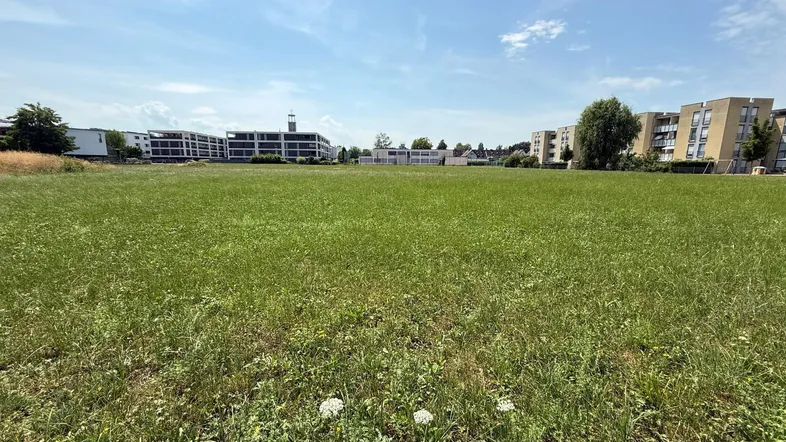 Große grüne Wiese mit modernen Wohngebäuden im Hintergrund unter blauem Himmel.